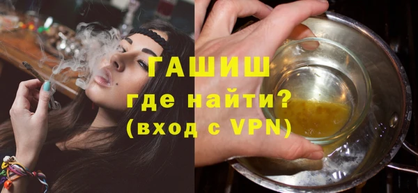 индика Арсеньев