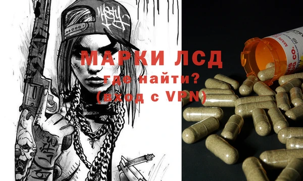 индика Арсеньев