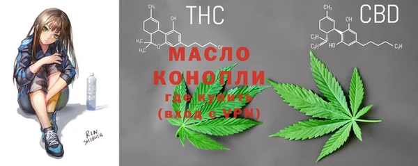 индика Арсеньев