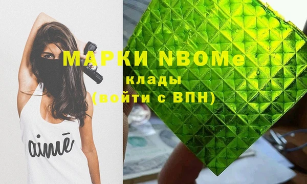 индика Арсеньев