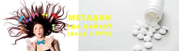 индика Арсеньев