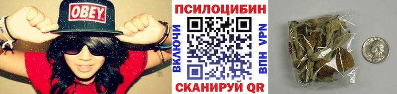 ОМГ ОМГ зеркало  сколько стоит  Сосновка  Псилоцибиновые грибы MAGIC MUSHROOMS 