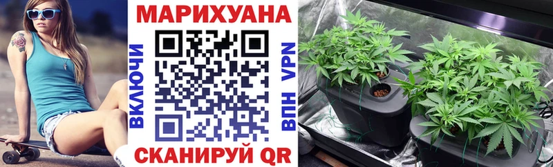 МАРИХУАНА конопля Сосновка